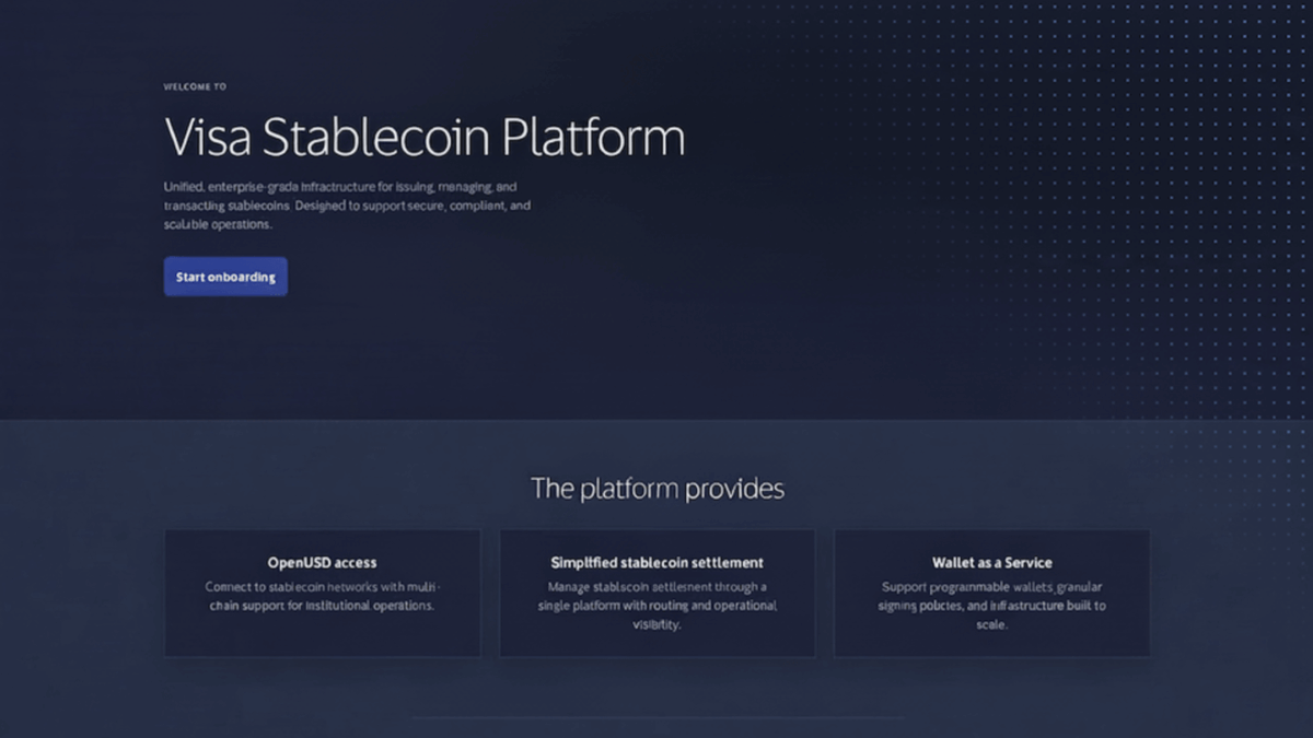 The landing page of the Visa Stablecoin Platform